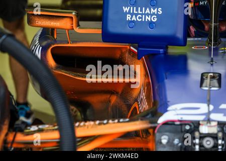 Williams Racing FW46, dettaglio meccanico del sidepod e dell'ingresso dell'aria durante i test pre-stagionali di Formula 1 Aramco 2024 del Campionato del mondo di Formula 1 FIA 2024 dal 21 al 23 febbraio 2024 sul circuito Internazionale del Bahrain, a Sakhir, Bahrain - foto Florent Gooden / DPPI Foto Stock