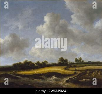 Paesaggio con un Wheatfield; Jacob van Ruisdael (Olandese, 1628/1629 - 1682); circa tardi 1650s - primi 1699s; Olio su tela, 40 x 45,7 cm (15 3/4 x 18 in.); 83.PA.278 Foto Stock