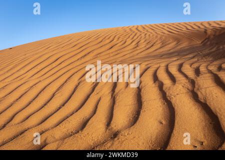 Paesaggio dorato delle dune del deserto con motivi di sabbia ondulata, cielo blu, Dubai, Emirati Arabi Uniti. Foto Stock