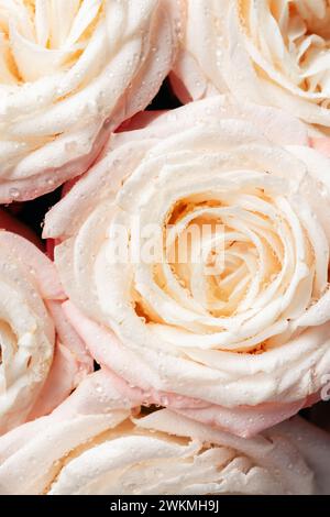 Primi piani di delicate rose pastello. Fiori cremosi e rosa. Foto Stock