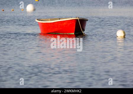 Barche ancorate a Rye Harbor a Rye, New Hampshire, la mattina presto. Foto Stock