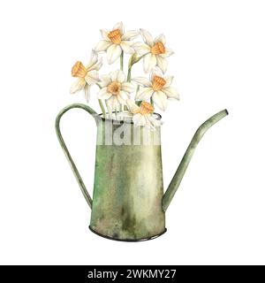Composizione floreale acquerello con annaffiatoio verde e narcisi. Illustrazioni disegnate a mano su sfondo isolato per biglietti d'auguri, inviti, Foto Stock