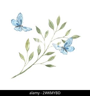 Ramoscello verde acquerello con foglie e farfalle blu. Schizzo su sfondo isolato per biglietti d'auguri, inviti, striscioni, poster, tessuti, des Foto Stock