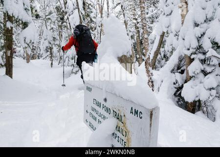 Incrocio tra l'Ethan Pond Trail (un segmento dell'Appalachian Trail) e il Willey Range Trail nelle White Mountains, nel New Hampshire durante il Foto Stock