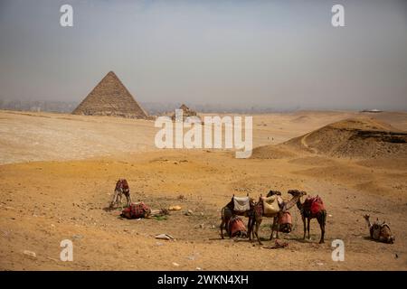 Cairo, Egitto. 24 marzo 2023. Il complesso delle piramidi di Giza è un affascinante sito archeologico che comprende non solo la grande Piramide di Khufu, ma anche la Piramide di Khafre e la Piramide di Menkaure, insieme a diverse piramidi, templi e strutture più piccole. Questo antico complesso si erge come una notevole testimonianza dell'ingegnosità e dell'abilità degli antichi egizi, attirando visitatori da tutto il mondo per ammirare il suo splendore architettonico e il suo significato culturale. (Credit Image: © Katrina Kochneva/ZUMA Press Wire) SOLO PER USO EDITORIALE! Non per USO commerciale! Foto Stock