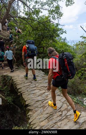 L'opportunità di fare un'escursione nelle cinque Terre lungo sentieri secolari per capre con viste incredibili del Mediterraneo attira escursionisti, gente del posto e tour seri Foto Stock