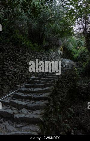 L'opportunità di fare un'escursione nelle cinque Terre lungo sentieri secolari per capre con viste incredibili del Mediterraneo attira escursionisti, gente del posto e tour seri Foto Stock