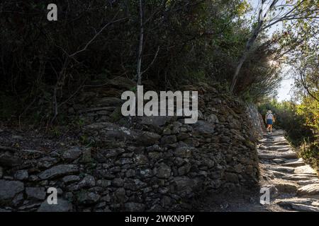 L'opportunità di fare un'escursione nelle cinque Terre lungo sentieri secolari per capre con viste incredibili del Mediterraneo attira escursionisti, gente del posto e tour seri Foto Stock