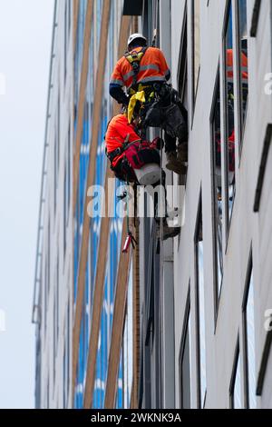 Pulizia delle finestre vista dell'alto edificio che mostra le persone che puliscono le finestre indossando l'equipaggiamento di sicurezza Melbourne Australia. Foto Stock