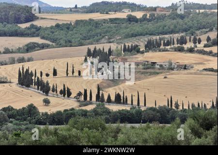 Viale Cypress con casale, a sud di Pienza, Toscana, Italia Foto Stock