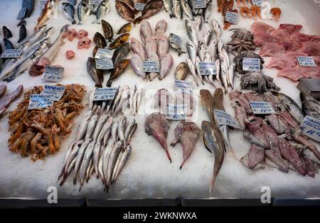 Esposizione di pesce fresco e frutti di mare su ghiaccio, pescivendolo, cibo, mercato Kapani, Vlali, Salonicco, Macedonia, Grecia Foto Stock