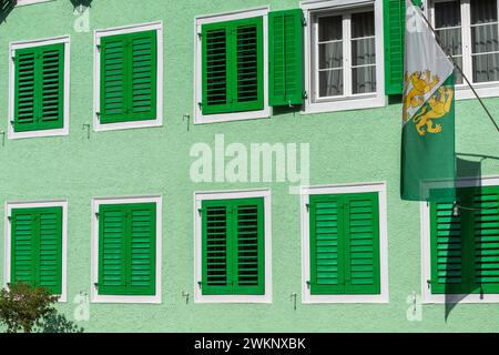 Centro storico di Dissenhofen sul Reno, casa verde, persiane, bandiera con stemma cantonale, distretto di Frauenfeld, Canton Turgovia, Svizzera Foto Stock