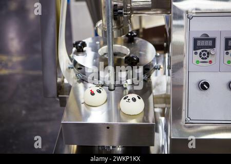 Macchina per la lavorazione degli alimenti per il forno a vapore. Foto Stock