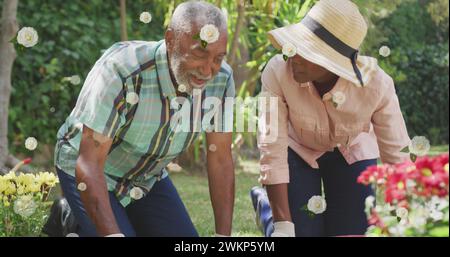 Immagine di rose su una figlia afroamericana adulta felice che giardinava con suo padre Foto Stock