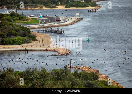 Foto di Tim Cuff - dicembre 2023 - Sapphire Coast Foto Stock