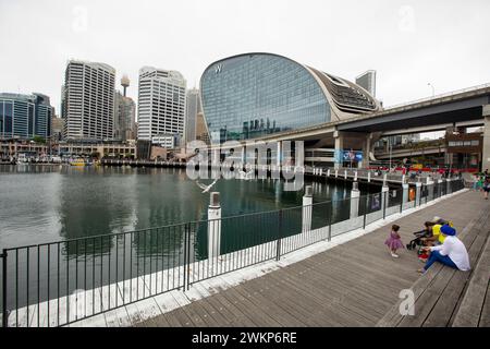Foto di Tim Cuff - dicembre 2023 - Sydney, Australia Foto Stock