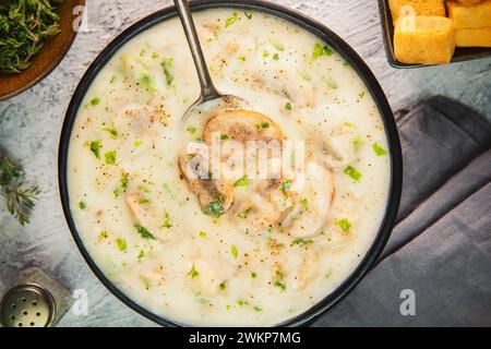 Zuppa cremosa di funghi mediorientale. Una ciotola calda di deliziosa zuppa cremosa con teneri morsi di funghi. Servito con crostini crostini croccanti. Foto Stock