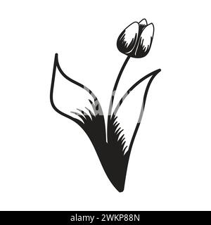Fiore di tulipani. Silhouette in bianco e nero di un tulipano. Una semplice icona disegnata a mano. Illustrazione vettoriale isolata su sfondo bianco. Illustrazione Vettoriale