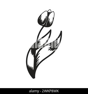 Fiore di tulipani. Silhouette in bianco e nero di un tulipano. Una semplice icona disegnata a mano. Illustrazione vettoriale isolata su sfondo bianco. Illustrazione Vettoriale