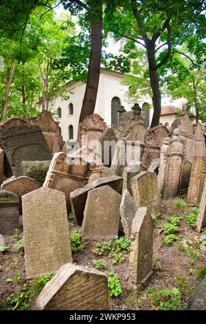 Vecchio cimitero ebraico, quartiere ebraico Josefov, Praga, Repubblica Ceca, Europa Foto Stock
