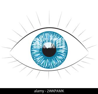 Occhio umano. Illustrazione vettoriale isolata su sfondo bianco. Illustrazione Vettoriale