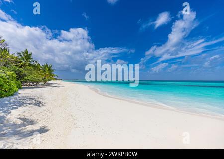 La migliore tranquillità del paesaggio tropicale. Sabbia bianca, sole, cielo marino, palme, destinazione di lusso per le vacanze. Esotico paesaggio di spiaggia. Natura fantastica Foto Stock