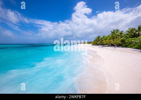 La migliore tranquillità del paesaggio tropicale. Sabbia bianca, sole, cielo marino, palme, destinazione di lusso per le vacanze. Esotico paesaggio di spiaggia. Natura fantastica Foto Stock