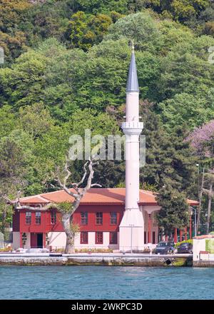 Accoccolata dal Bosforo nel quartiere di Uskudar, Istanbul, Turchia, la Moschea Vanikoy sul lungomare con la sua pittoresca bellezza sullo sfondo del verde primaverile, con vivaci pareti rosse e slanciato minareto Foto Stock