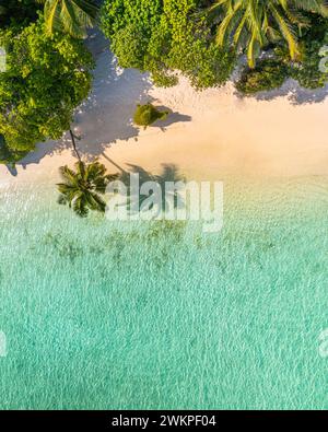 Vista dall'alto sulla spiaggia di sabbia. Spiaggia tropicale con sabbia bianca e mare turchese, palme sotto la luce del sole. Vista panoramica su un drone, destinazione turistica di lusso Foto Stock