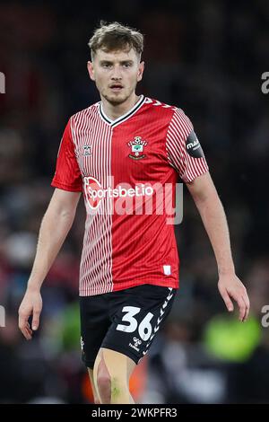 Southampton, Regno Unito. 20 febbraio 2024. Centrocampista del Southampton David Brooks (36) durante il Southampton FC contro Hull City FC allo St.Mary's Stadium di Southampton, Inghilterra, Regno Unito il 20 febbraio 2024 Credit: Every Second Media/Alamy Live News Foto Stock