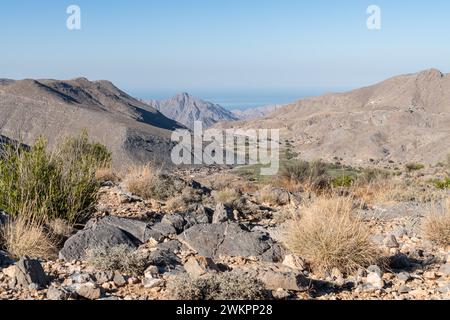 Una valle verde tra le montagne desertiche di Harim nel Musandam. Oman Foto Stock