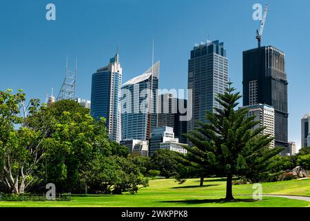 Vista sul CBD di Sydney dal Royal Botanic Garden. Foto Stock