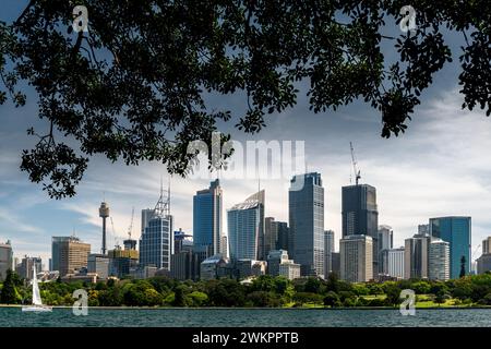 Vista sul CBD di Sydney dal Royal Botanic Garden. Foto Stock