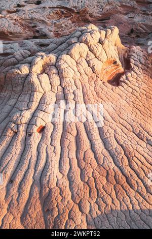 STATI UNITI D'AMERICA, ARIZONA, TASCA BIANCA: La tasca bianca è un'arenaria isolata, notoriamente difficile da raggiungere, nascosta all'interno della distesa desertica del Vermillion Cliffs National Monument vicino al confine tra Arizona e Utah. L'intera area è ricoperta da uno strato roccioso grigio, spesso solo pochi centimetri, sopra l'arenaria rossa dove le formazioni si susseguono e sgocciolano che fa sembrare l'intero paesaggio come se fosse ricoperto di zucchero a velo. In alcuni punti gli strati di pietra sono completamente ritorti, proprio come un'enorme torta di marmo. Foto Stock