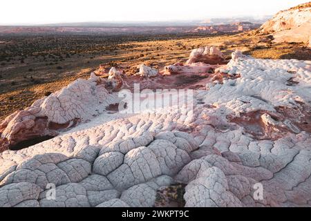 STATI UNITI D'AMERICA, ARIZONA, TASCA BIANCA: La tasca bianca è un'arenaria isolata, notoriamente difficile da raggiungere, nascosta all'interno della distesa desertica del Vermillion Cliffs National Monument vicino al confine tra Arizona e Utah. L'intera area è ricoperta da uno strato roccioso grigio, spesso solo pochi centimetri, sopra l'arenaria rossa dove le formazioni si susseguono e sgocciolano che fa sembrare l'intero paesaggio come se fosse ricoperto di zucchero a velo. In alcuni punti gli strati di pietra sono completamente ritorti, proprio come un'enorme torta di marmo. Foto Stock