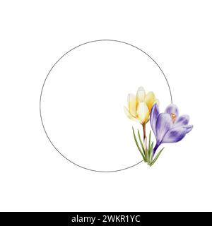 Cornice ad acquerello, logo con fiori di cocco in fiore gialli, viola e bianchi isolati su sfondo bianco. Modello di primavera e pasqua, mano botanica Foto Stock