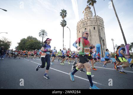 Siviglia, 01/28/2024. La 29esima edizione della mezza Maratona di Siviglia passando per la Torre del Oro. Foto: Víctor Rodríguez. SEGN. ARCHSEV. Crediti: Album / Archivo ABC / Víctor Rodríguez Foto Stock