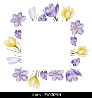 Cornice ad acquerello, logo con fiori di cocco in fiore gialli, viola e bianchi isolati su sfondo bianco. Modello di primavera e pasqua, mano botanica Foto Stock