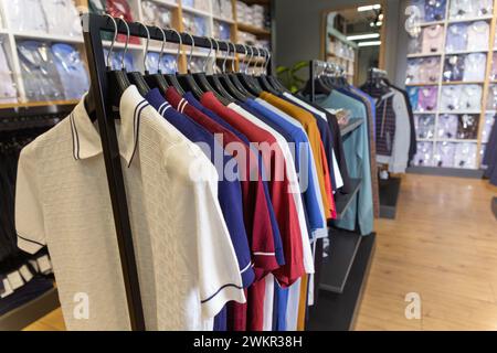 Polo da uomo multicolore chiuse su appendiabiti e scaffali in un negozio di abbigliamento maschile. Foto Stock