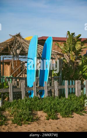 Eleganti tavole da surf blu scattate in verticale sulla sabbia, sullo sfondo di palme su una spiaggia tropicale con ombrelloni di paglia su un bel sole caldo Foto Stock