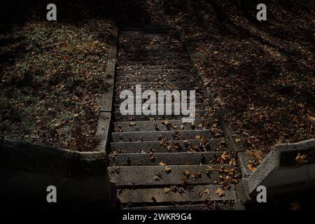 le scale di pietra ricoperte di foglie cadute, vista dall'alto Foto Stock