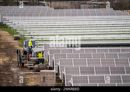 Bau eines Solarparks in Neukirchen-Vluyn, auf 4,2 Hektar werden über 10,000 Solarmodule verbaut, die dann 6 mio Kilowattstunden erzeugen sollen, jährlich , NRW, Deutschland, Solarpark *** costruzione di un parco solare a Neukirchen Vluyn, saranno installati oltre 10.000 moduli solari su 4,2 ettari, che genereranno quindi 6 milioni di kilowattora all'anno, NRW, Germania, parco solare Foto Stock