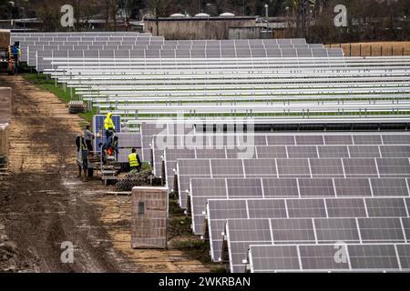 Bau eines Solarparks in Neukirchen-Vluyn, auf 4,2 Hektar werden über 10,000 Solarmodule verbaut, die dann 6 mio Kilowattstunden erzeugen sollen, jährlich , NRW, Deutschland, Solarpark *** costruzione di un parco solare a Neukirchen Vluyn, saranno installati oltre 10.000 moduli solari su 4,2 ettari, che genereranno quindi 6 milioni di kilowattora all'anno, NRW, Germania, parco solare Foto Stock