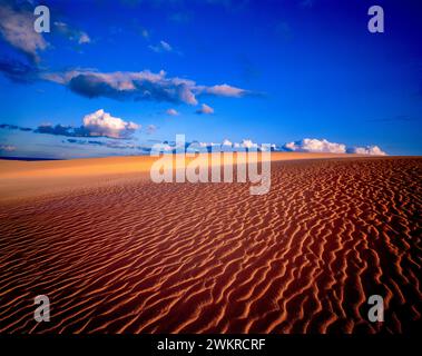 Dune di sabbia in movimento la sera, Maspalomas, Gran Canaria, Spagna Foto Stock