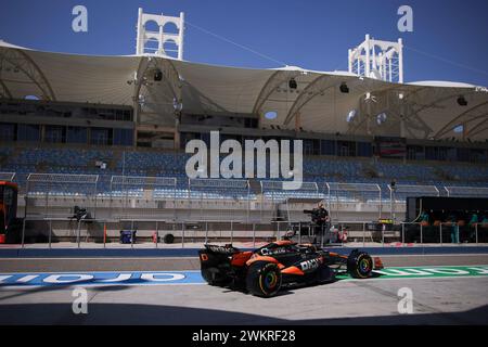 81 PIASTRI Oscar (aus), McLaren F1 Team MCL38, azione durante i test pre-stagionali di Formula 1 Aramco 2024 del Campionato del mondo di Formula 1 FIA 2024 dal 21 al 23 febbraio 2024 sul circuito Internazionale del Bahrain, a Sakhir, Bahrain - foto DPPI Foto Stock