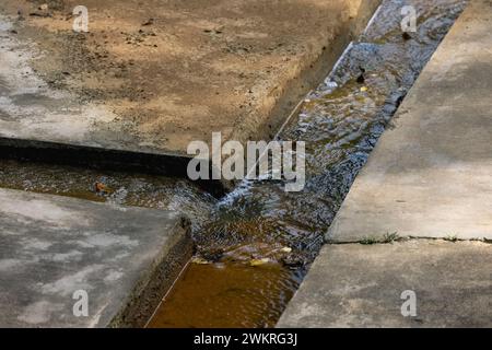 lo scarico delle fognature con acqua contaminata causa inquinamento nell'acqua Foto Stock