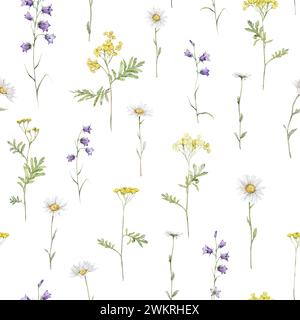 Fiore di prato ad acquerello con motivo senza cuciture con camomilla bianca e campanello viola. Ripeti la carta da parati giallo del fiore della foresta ranunculus e tansy. Mano Foto Stock