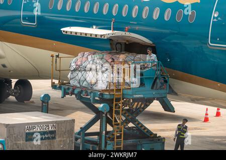 HANOI, Vietnam, Apr 19 2019, una manipolazione con le spedizioni nel trasporto aereo. Scarico delle merci da un velivolo utilizzando una piattaforma di sollevamento su di Noi Bai Int Foto Stock