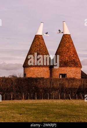 Tradizionale Oast House (forno per luppolo) utilizzata per essiccare il luppolo nel Kent. Foto Stock