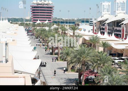 Sakhir, Bahrein. 22 febbraio 2024. 21 febbraio 2024, Bahrain International Circuit, Sakhir, test drive di Formula 1 in Bahrain 2023, nella foto una panoramica del paddock Credit: dpa/Alamy Live News Foto Stock